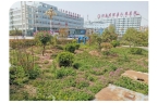 醫(yī)院廢水處理工程案例